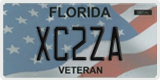 Florida, Specialty plates (XXXXX)