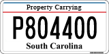 South Carolina, Property Carrying (P123456)