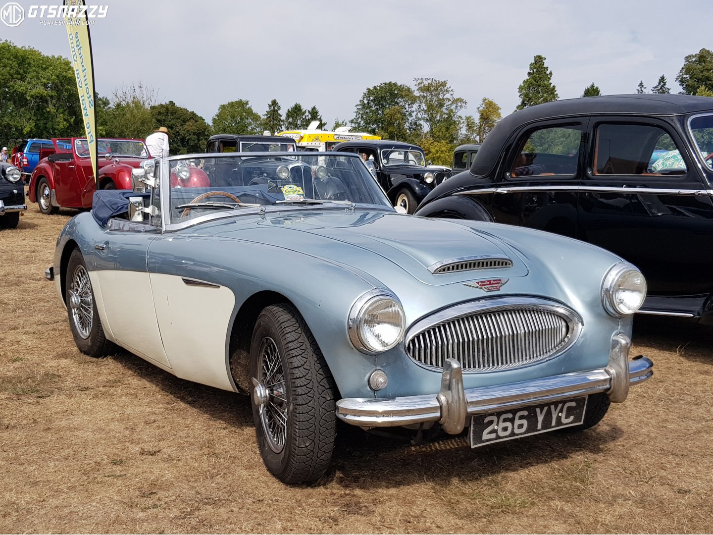 266YYC, Austin-Healey 100/3000 