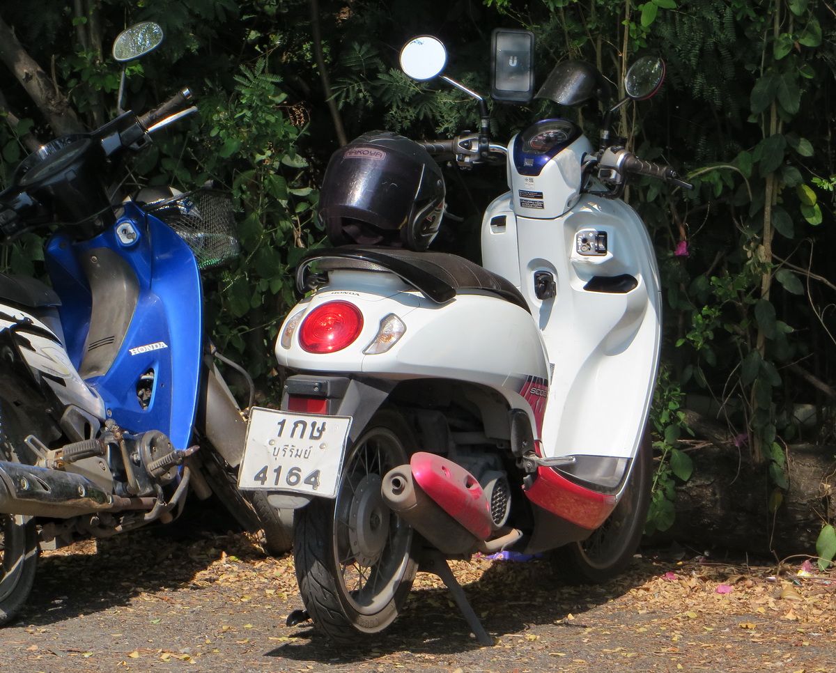 1กษ 4164, Honda Scoopy 