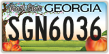 Georgia, ABC 1234