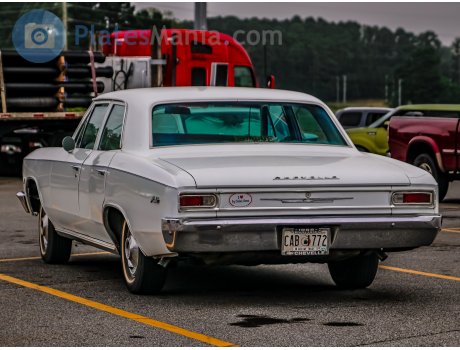 CAB 1772, Chevrolet Chevelle