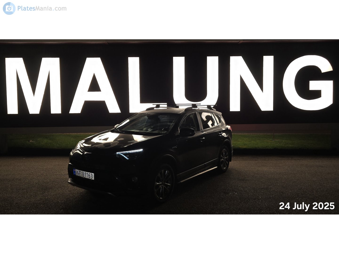 NF 81163, Toyota RAV4 4th gen (XA40), facelift, 2015–2019