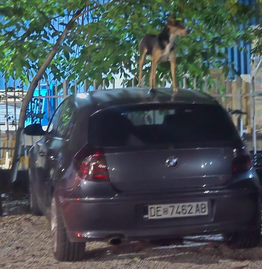 DE 7462 AB, BMW 1 Series 1st gen 5-door Hatch (E87), 2004–2011