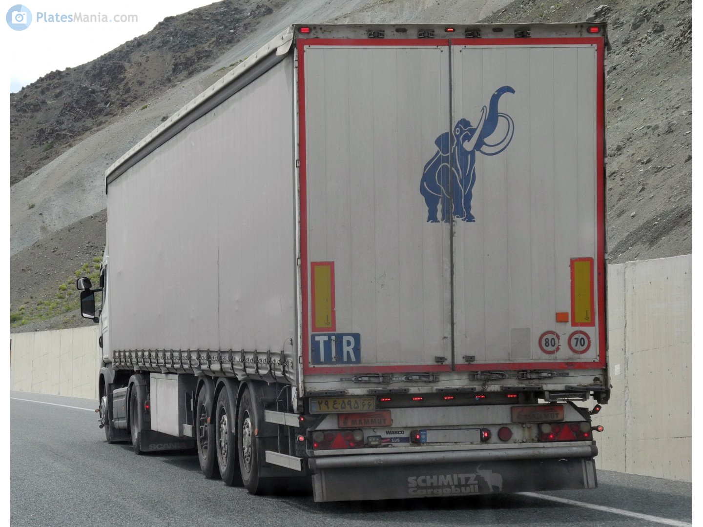 ۲۹ع۵۹۵ ۹۹, Schmitz SCS 