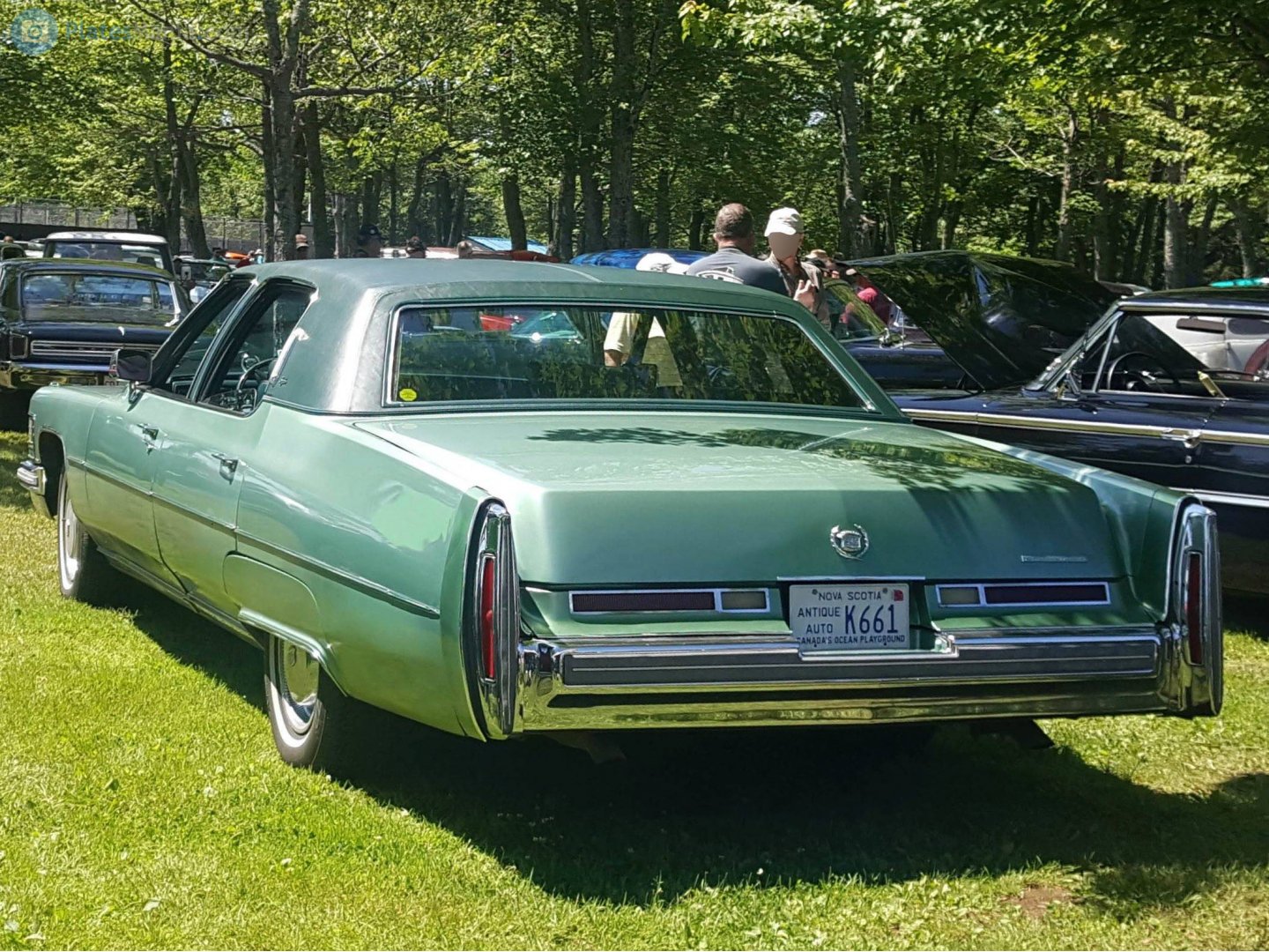 K661, Cadillac Fleetwood Limousine (33; D-body), 1976–1986