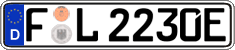 German license plate, Electric vehicles