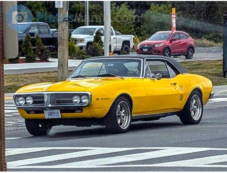 6H0910, Pontiac Firebird