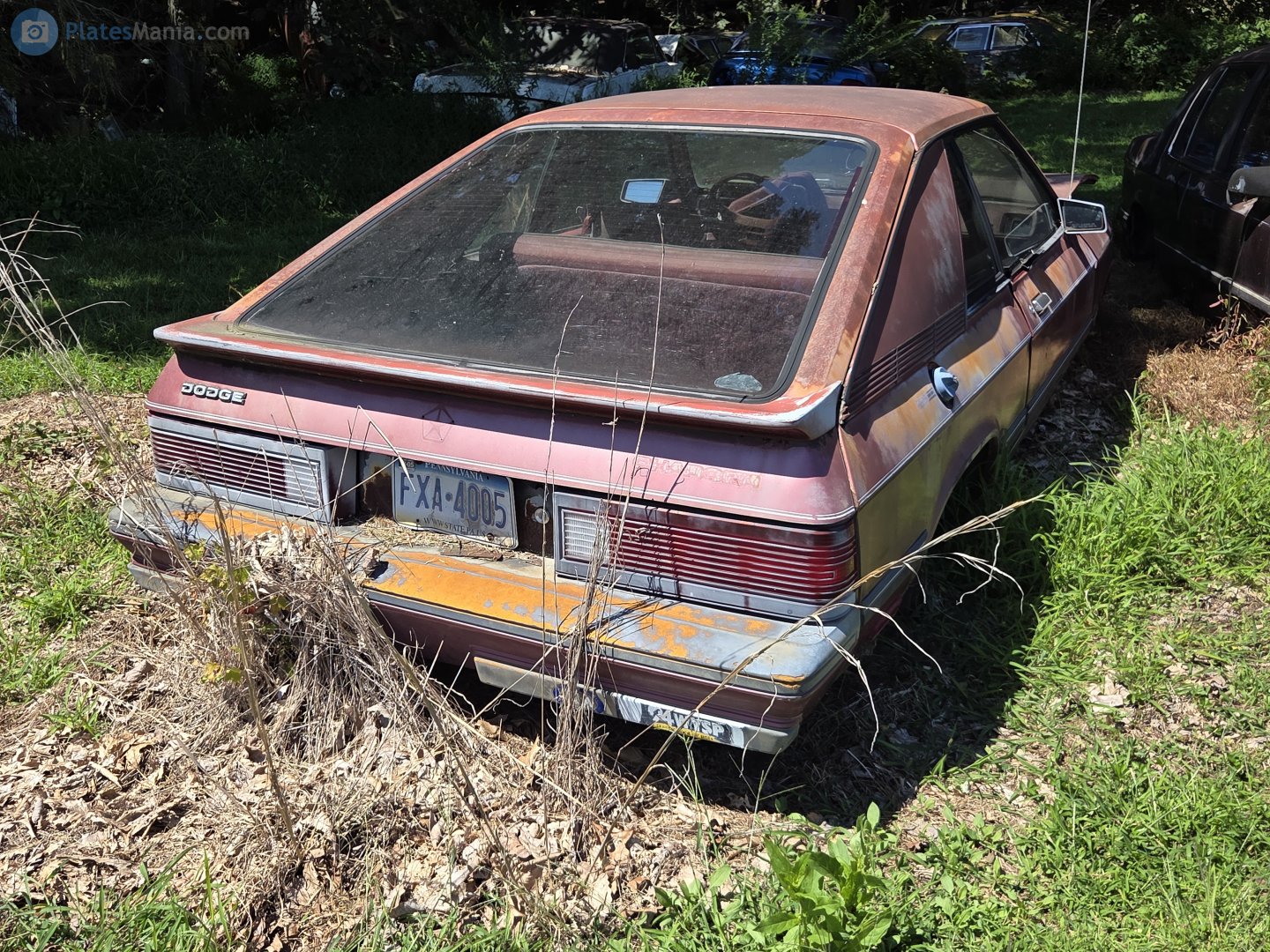 FXA-4005, Dodge Charger 5th gen (L-body), 1982–1987