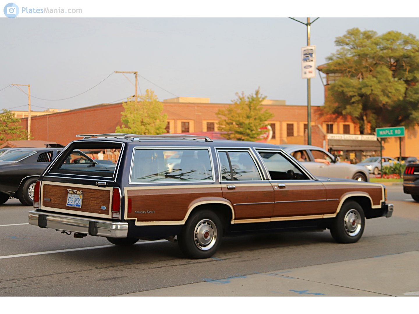 EFS 8835, Ford Crown Victoria LTD Country Squire 5-door Station Wagon (74K), 1979–1991