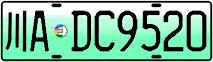 License plate of China, Electric vehicles
