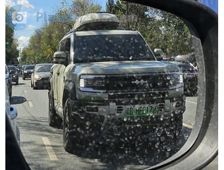 粤B·HE6172, Fangchengbao Leopard (Bao) 5