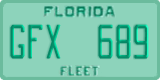 Florida, Fleet