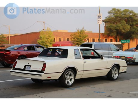 301736, Chevrolet Monte Carlo