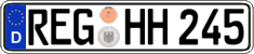 REG HH 245