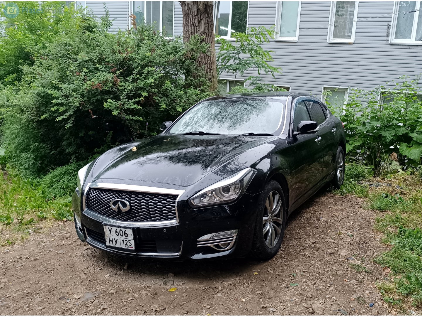 у 606 ну 125, Nissan Fuga 2nd gen (Y51), facelift, 2015–2022