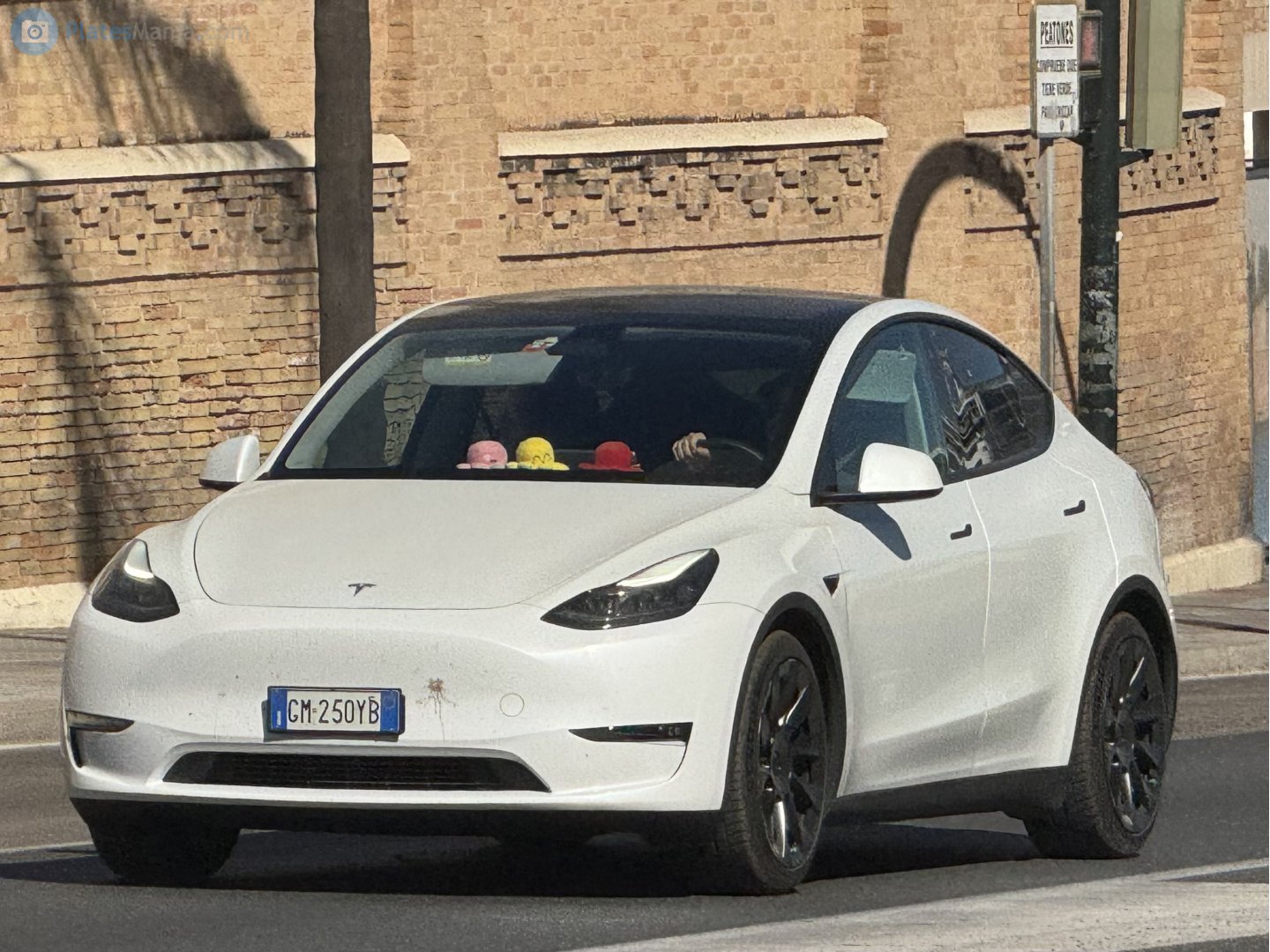 GM 250 YB, Tesla Model Y 1st gen (5YJY), 2020–2025