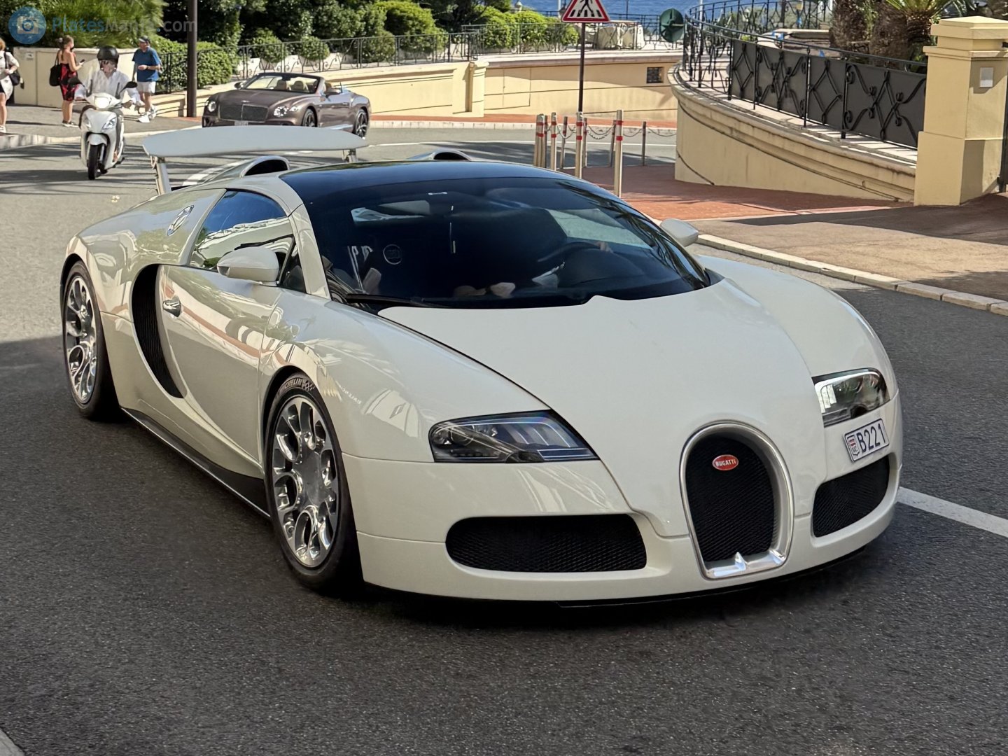 B221, Bugatti Veyron Grand Sport Targa, 2009–2015