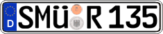 German license plate, Regular plates