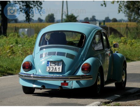 ESI 33A1, Volkswagen Beetle