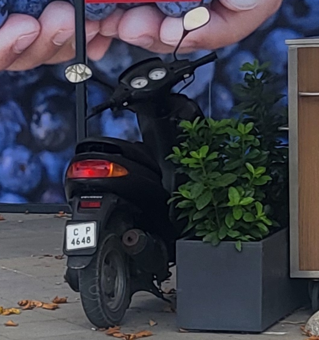 C 4648 P, Peugeot Zenith 