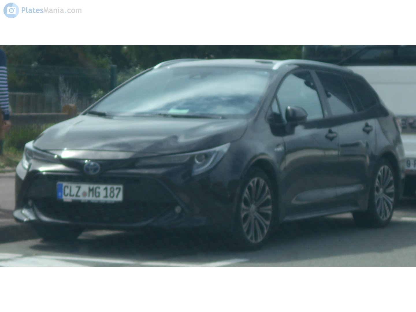 CLZ MG 187, Toyota Corolla 12th gen Touring Sports (E210), 2019–