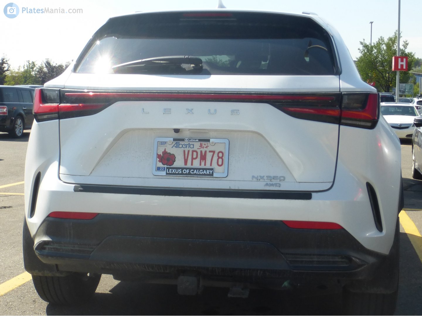 VPM78, Lexus NX 2nd gen (AZ20), 2021–
