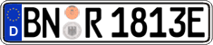 German license plate, Electric vehicles