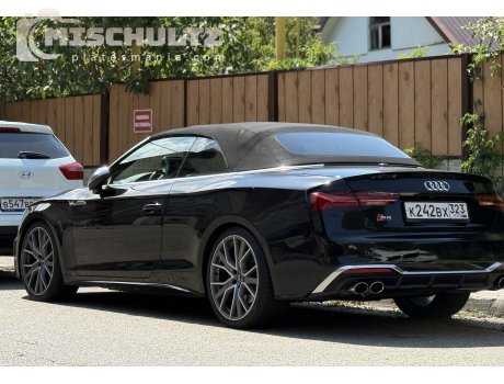 к242вх323, Audi S5
