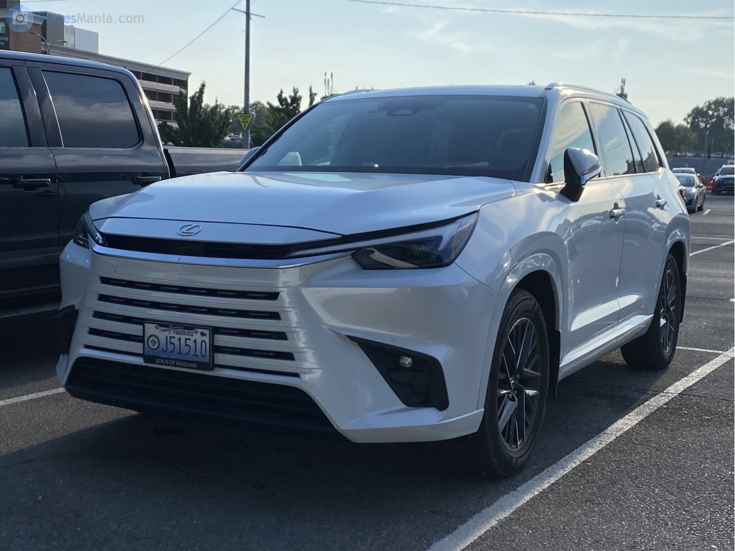 J51510, Lexus TX 1st gen (AU10), 2023–