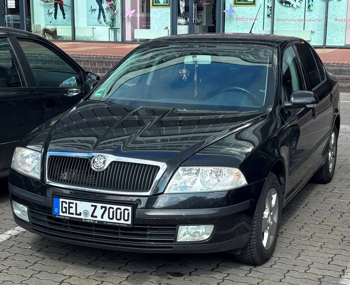 GEL Z 7000, Skoda Octavia 2nd gen Liftback (A5/1Z3), 2004–2008 (2010–2012 Tour)