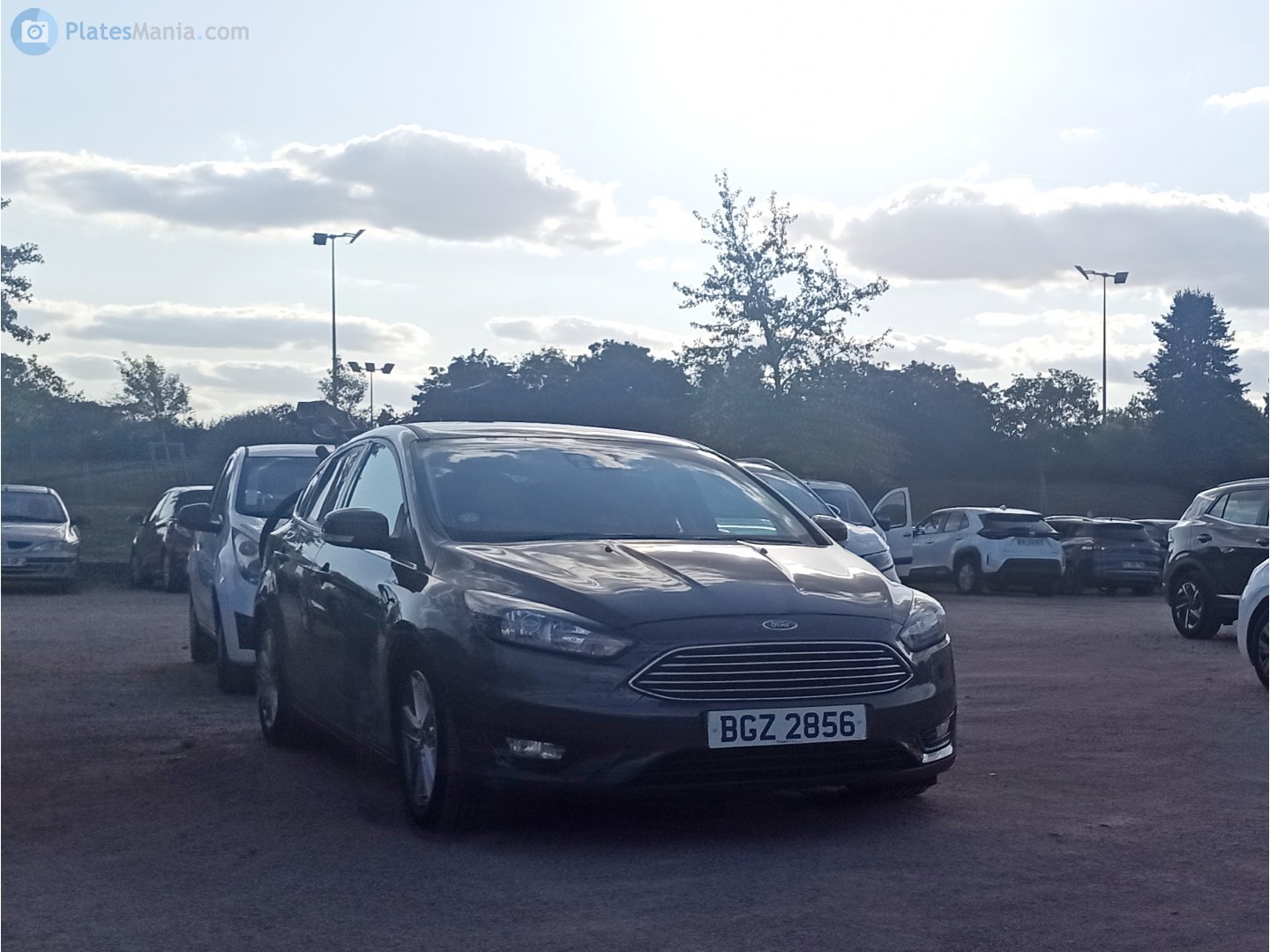 BGZ2856, Ford Focus 3rd gen Hatch (DYB; C346), facelift, 2014–2019