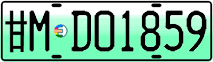 License plate of China, Electric vehicles