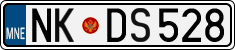 NK DS528