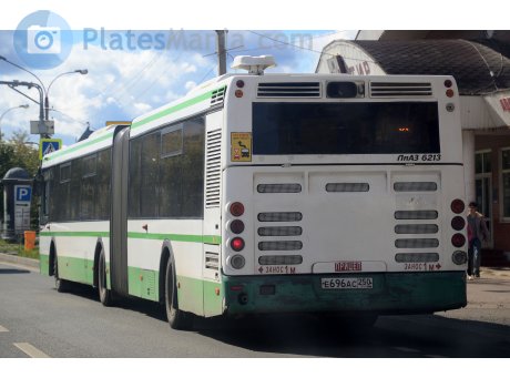 е696ас250, LiAZ 6213