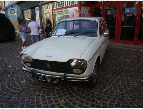 GG-186-JJ, Peugeot 204