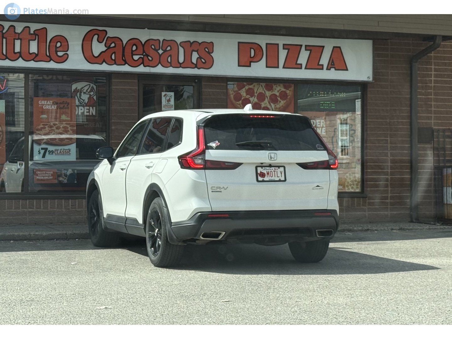 MOTLY, Honda CR-V 6th gen (RS), 2022–