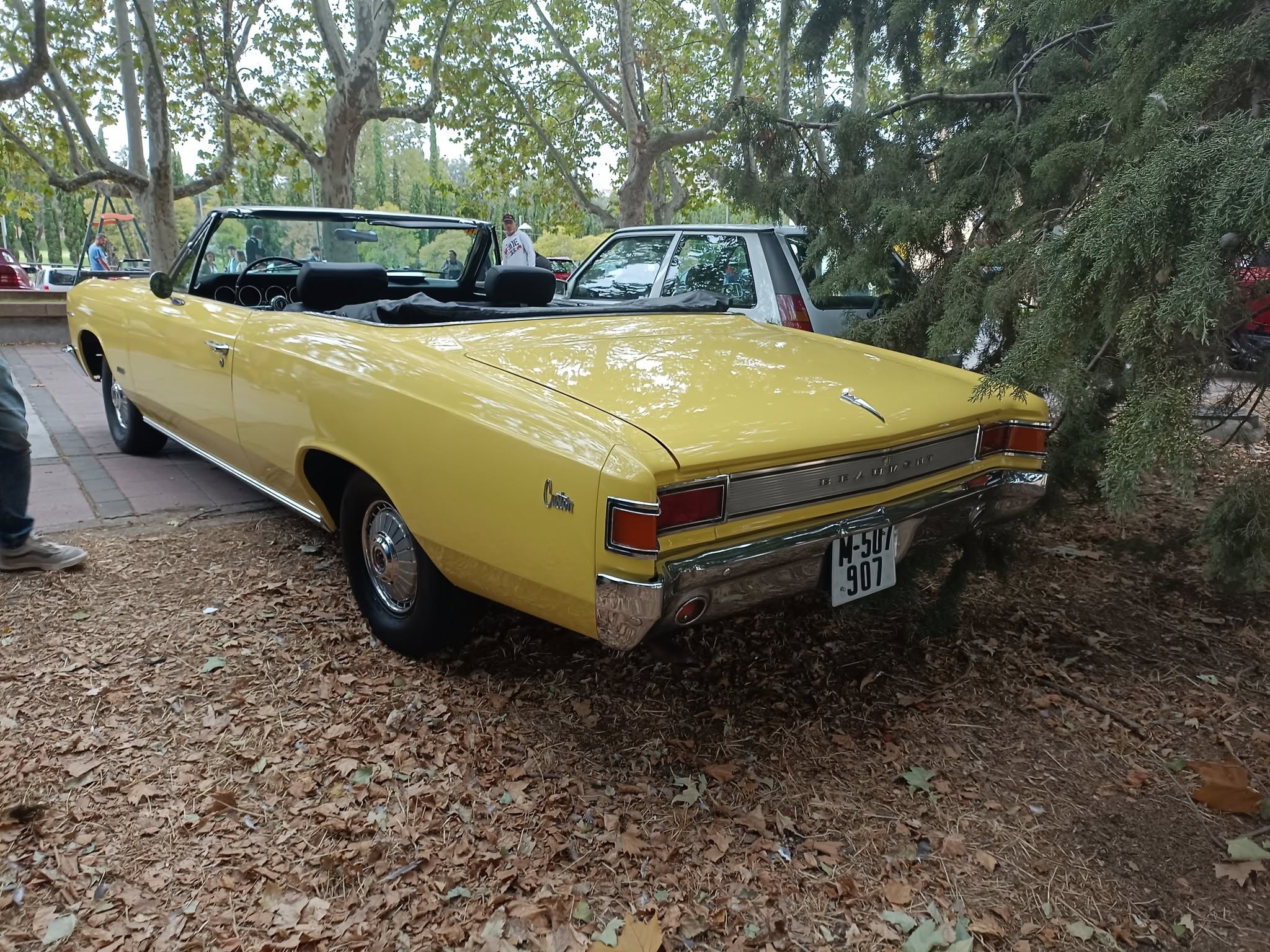 M-507907, Beaumont Custom 