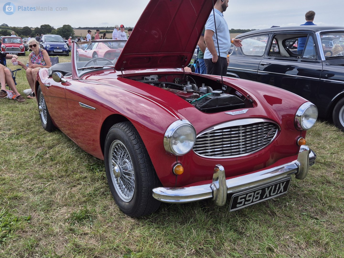598XUX, Austin-Healey 100/3000 