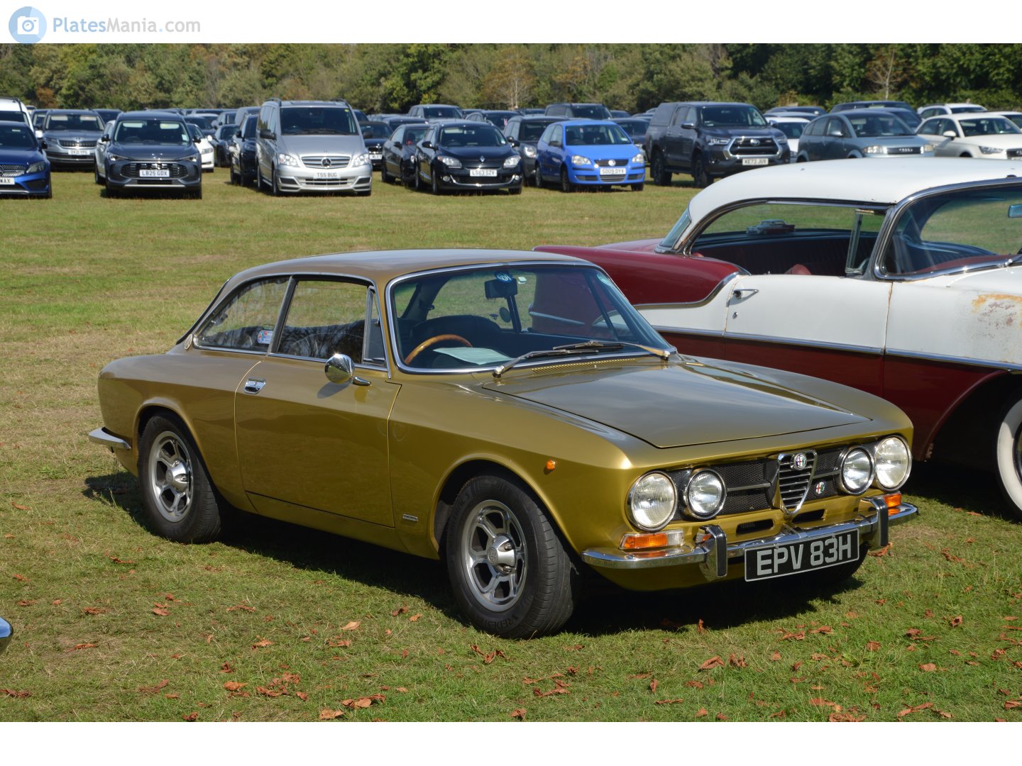 EPV83H, Alfa Romeo 1750 1st gen GT Veloce (105) 1967–1971