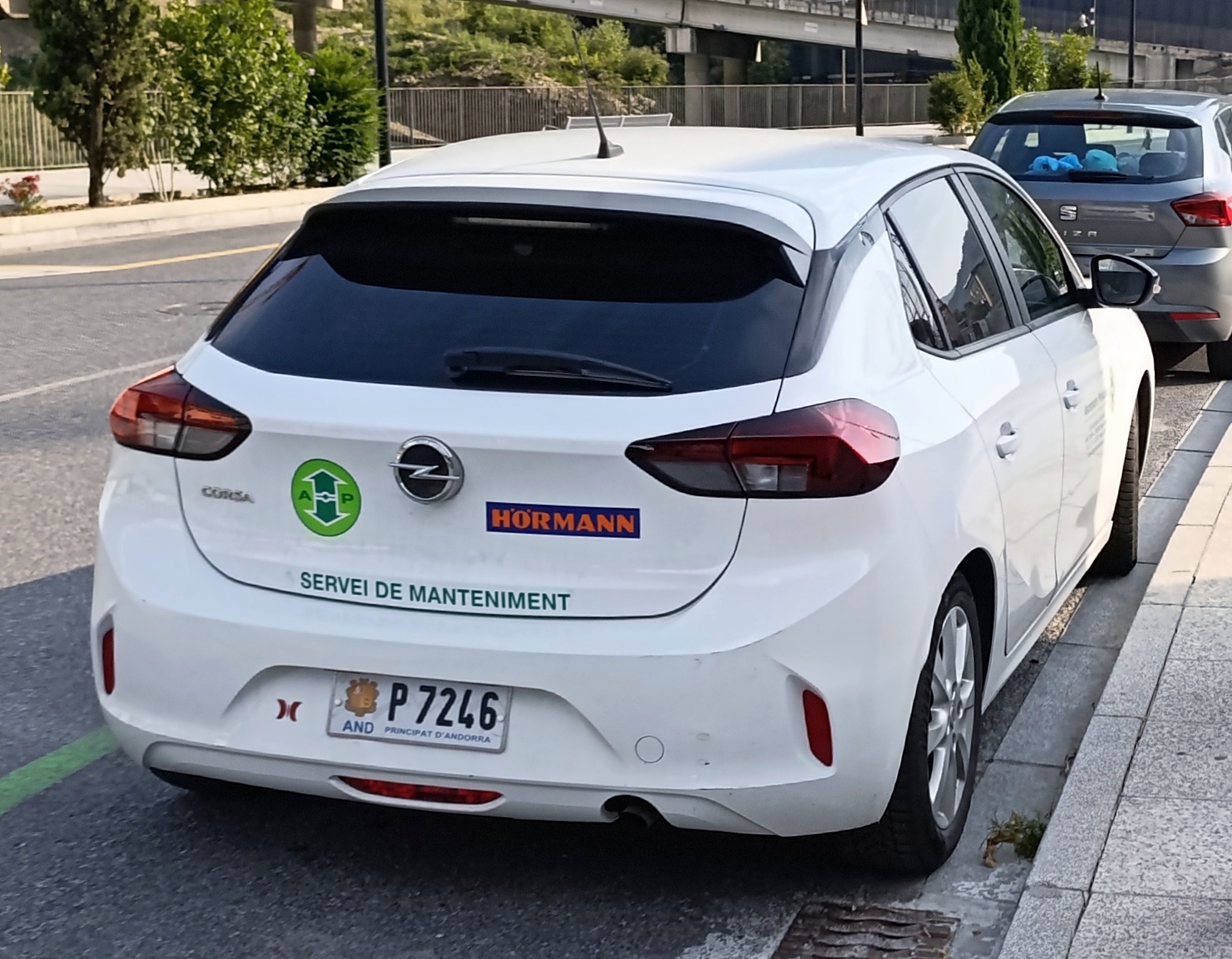 P 7246, Opel Corsa 6th gen (F; P2JO), 2019–2023