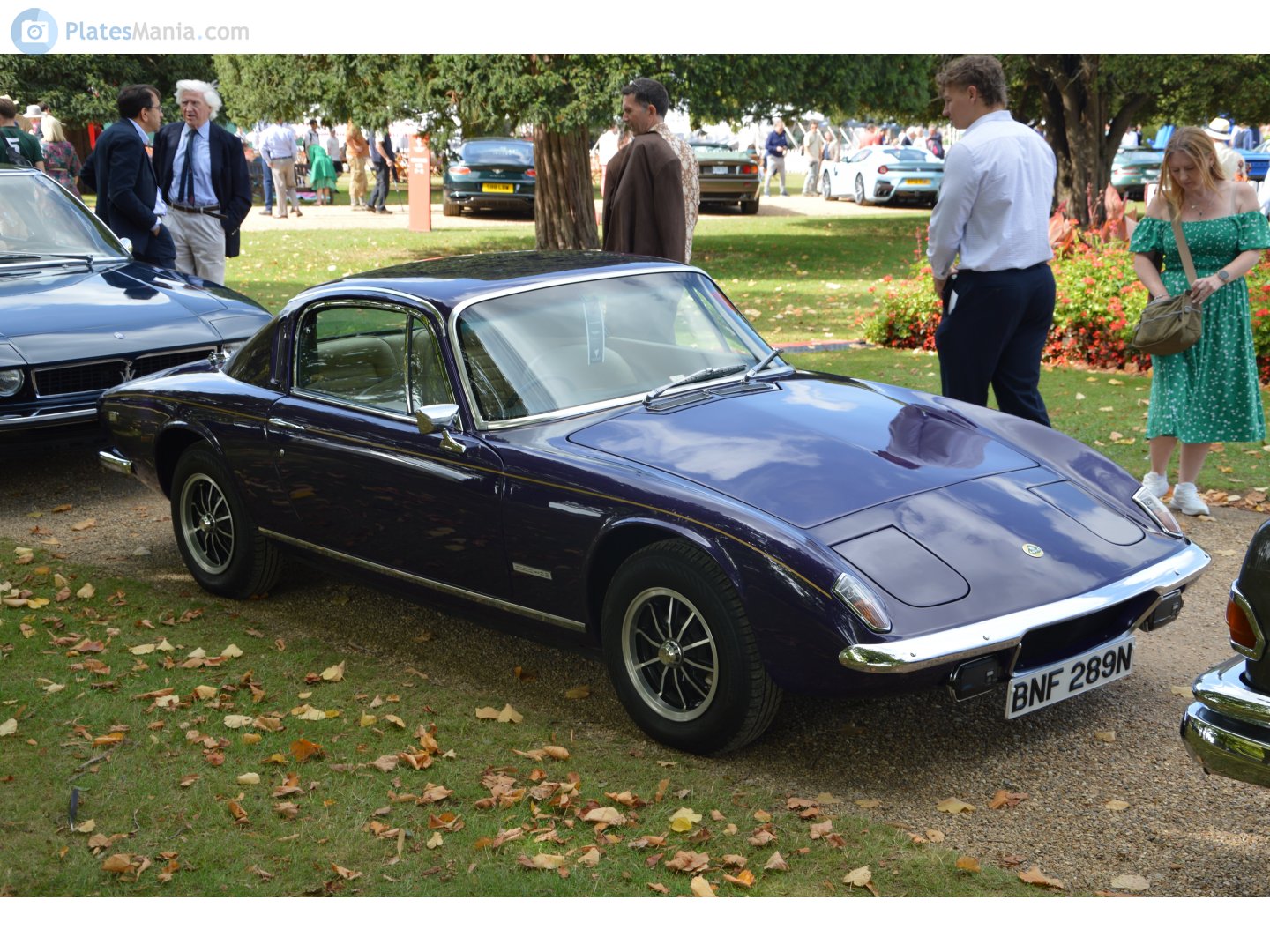 BNF289N, Lotus Elan 1st gen (+2), 1967–1975