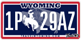 Wyoming, 1(2)A 123X