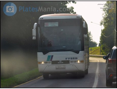 р568вх39, MAN Lion