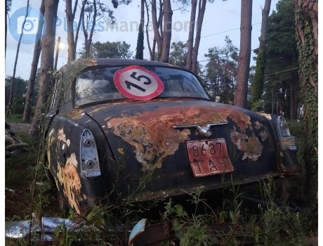 8687 ГАЧ, License plate without vehicle