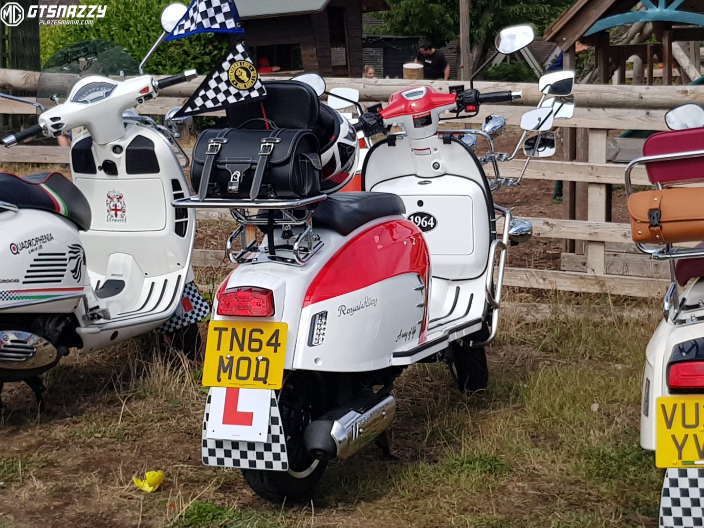 TN64MOD, Royal Alloy GT 