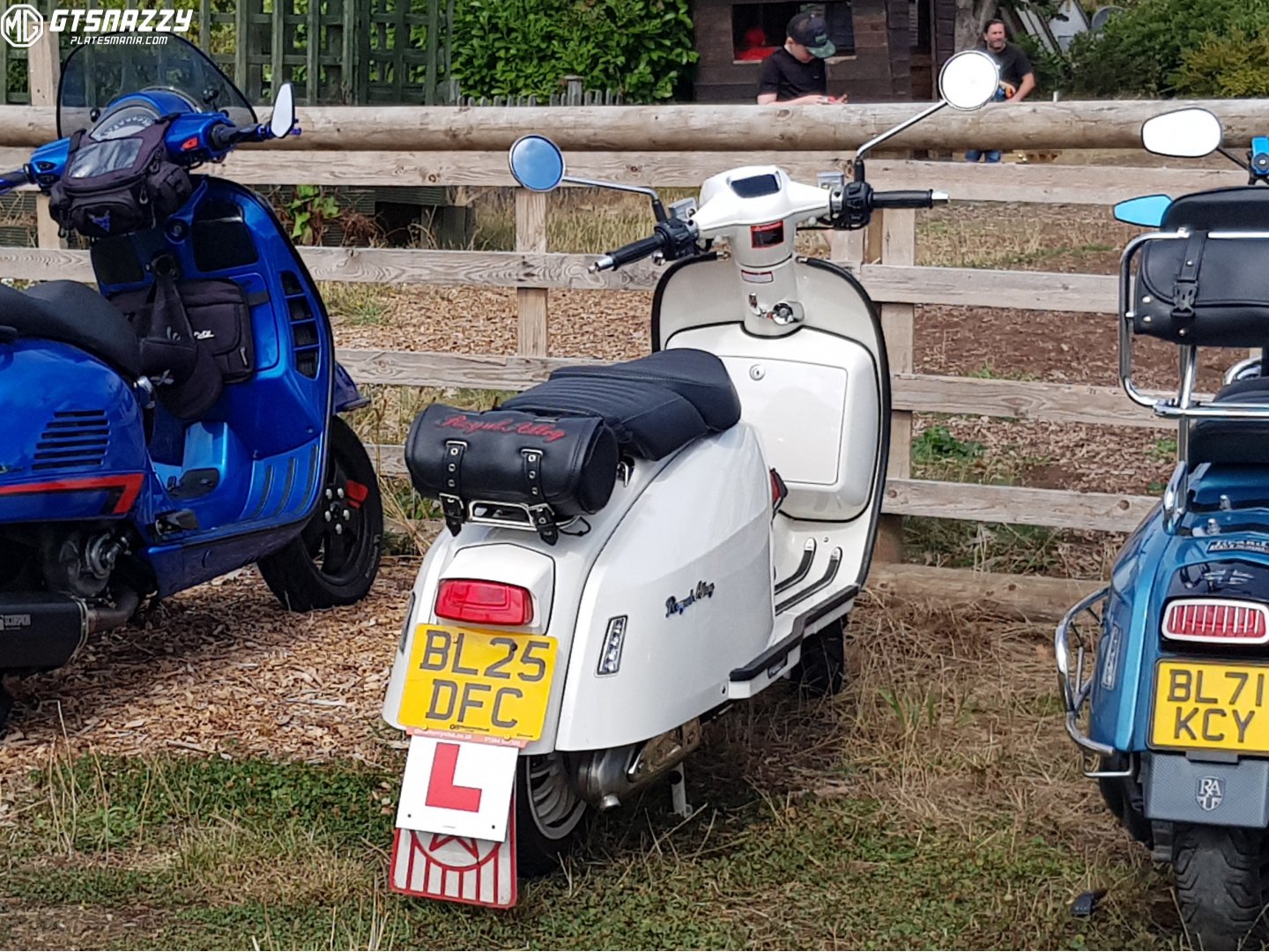 BL25DFC, Royal Alloy GP 