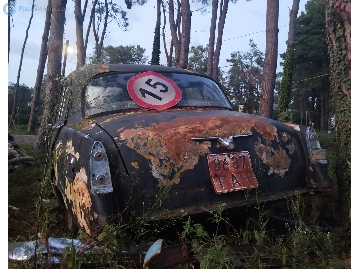 8687 ГАЧ, License plate without vehicle 