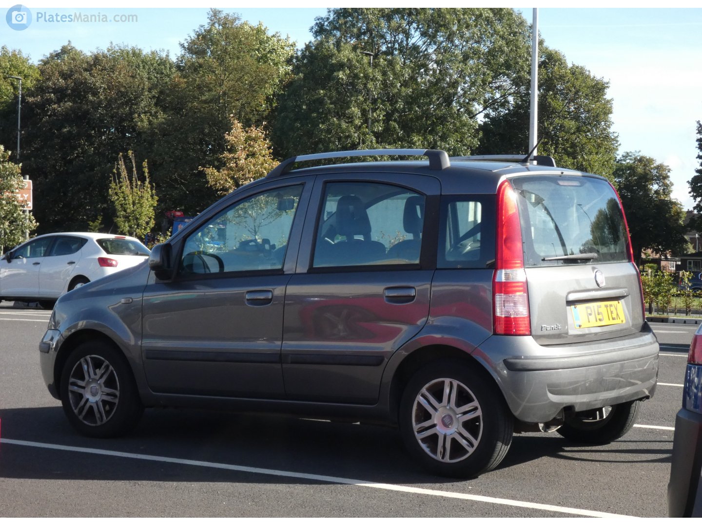 P15TEX, FIAT Panda 2nd gen (169), 2003–2012