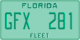 Florida, Fleet